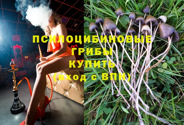твердый Лабытнанги