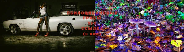 твердый Лабытнанги