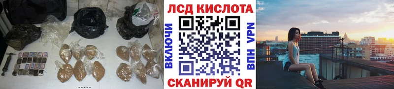 где найти наркотики  Чегем  Лсд 25 экстази ecstasy 