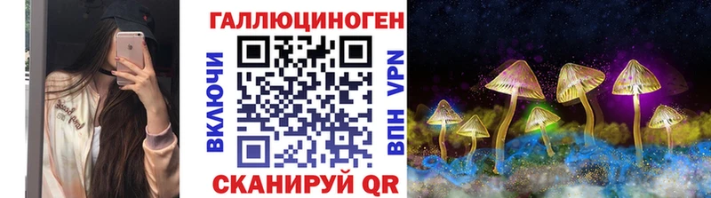 Псилоцибиновые грибы MAGIC MUSHROOMS  KRAKEN рабочий сайт  Чегем 