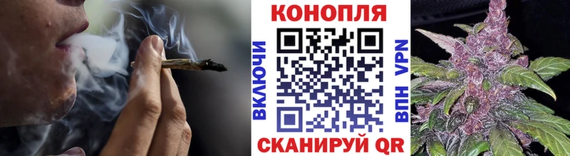 Бошки марихуана планчик  наркотики  гидра вход  Чегем 